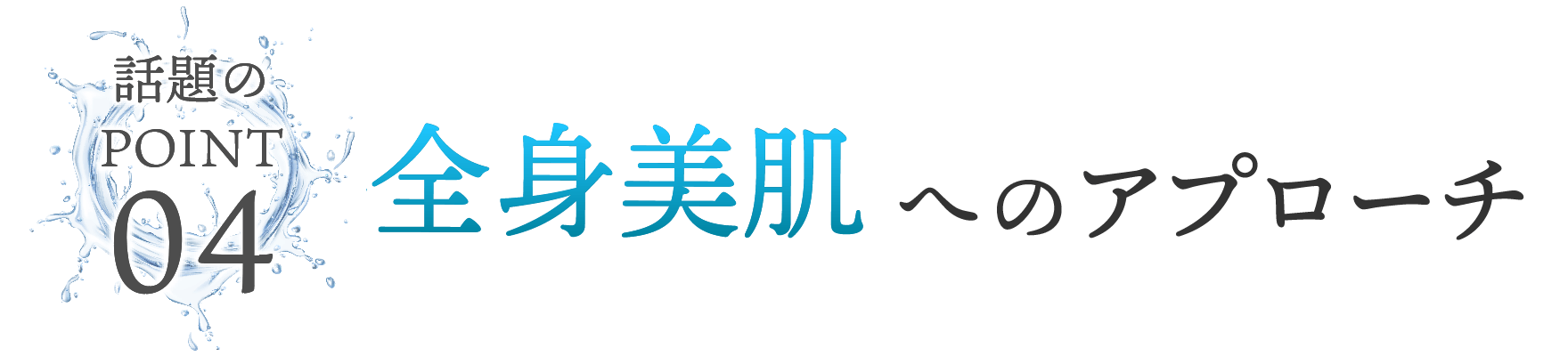 全身美肌へのアプローチ